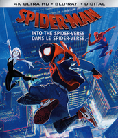 Spider-Man into the Spider Verse